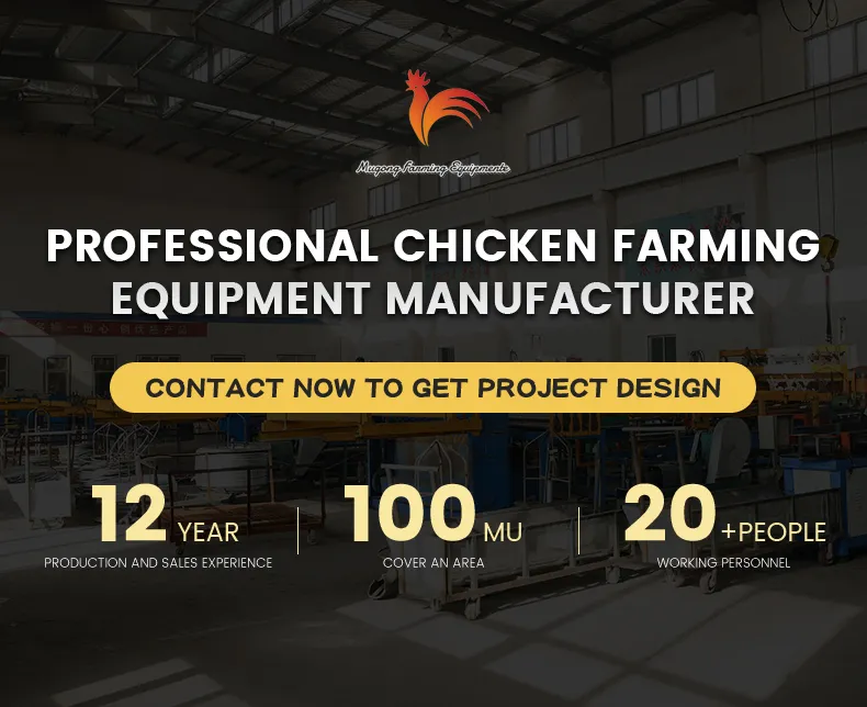 Galvanized Steel Poultry Equipment