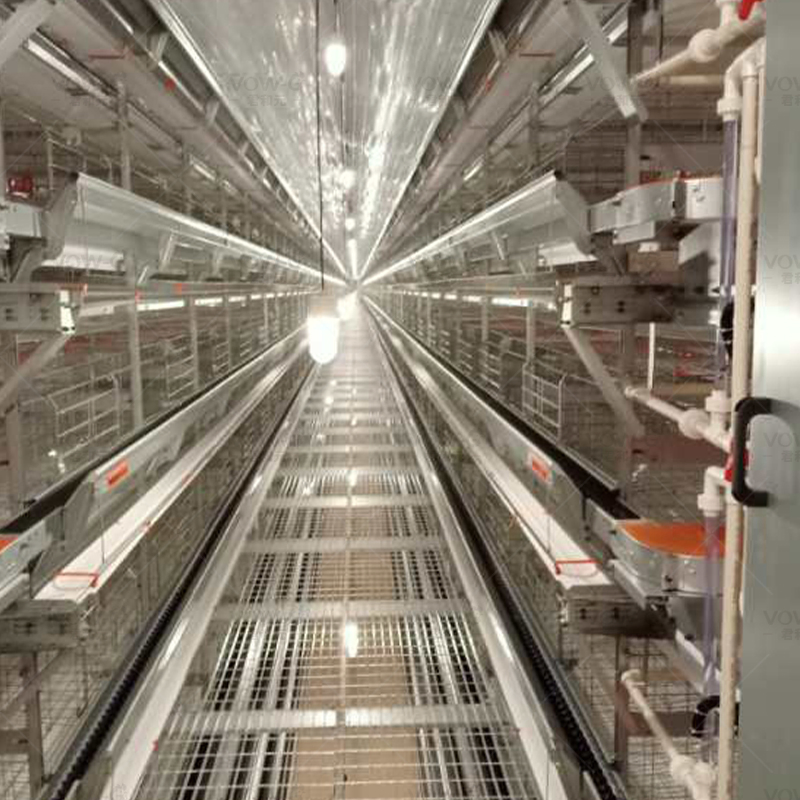 Premium H Frame Chicken Layer Cage with Automatic Feeding System