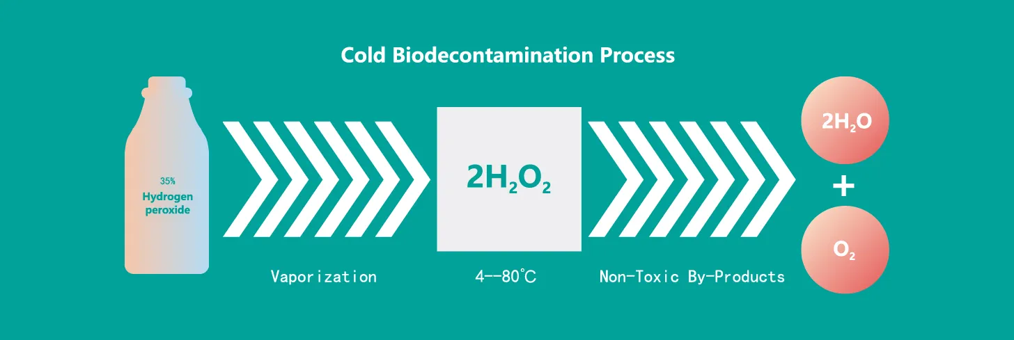 Sterilization Equipment