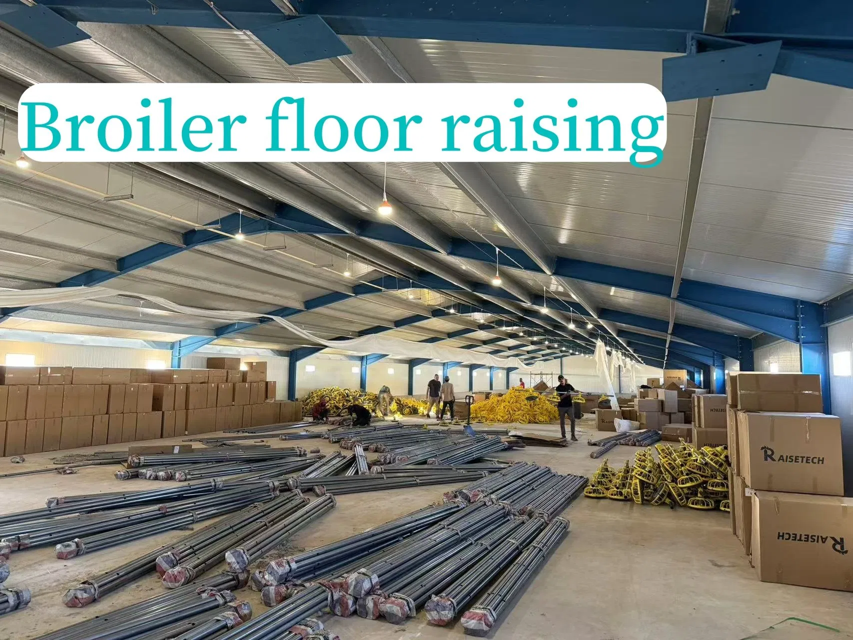 Raisetech Factory Base Price Automatic Poultry Farm Equipment Broiler Floor Feeding with Chicken Raise Equipment/Machinery