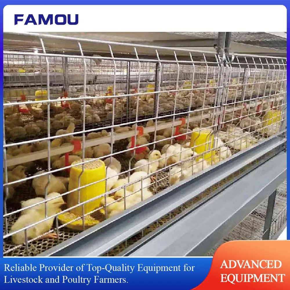 H Ladder Battery Cage with Automatic Bird Harvesting Trolley Feeding Broiler Cage in Poultry Farm