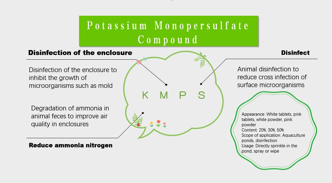 Potassium Monopersulfate Composite Salt Kmps Pmps Poultry Chicken Pig Farm Disinfectant for Water Sanitation