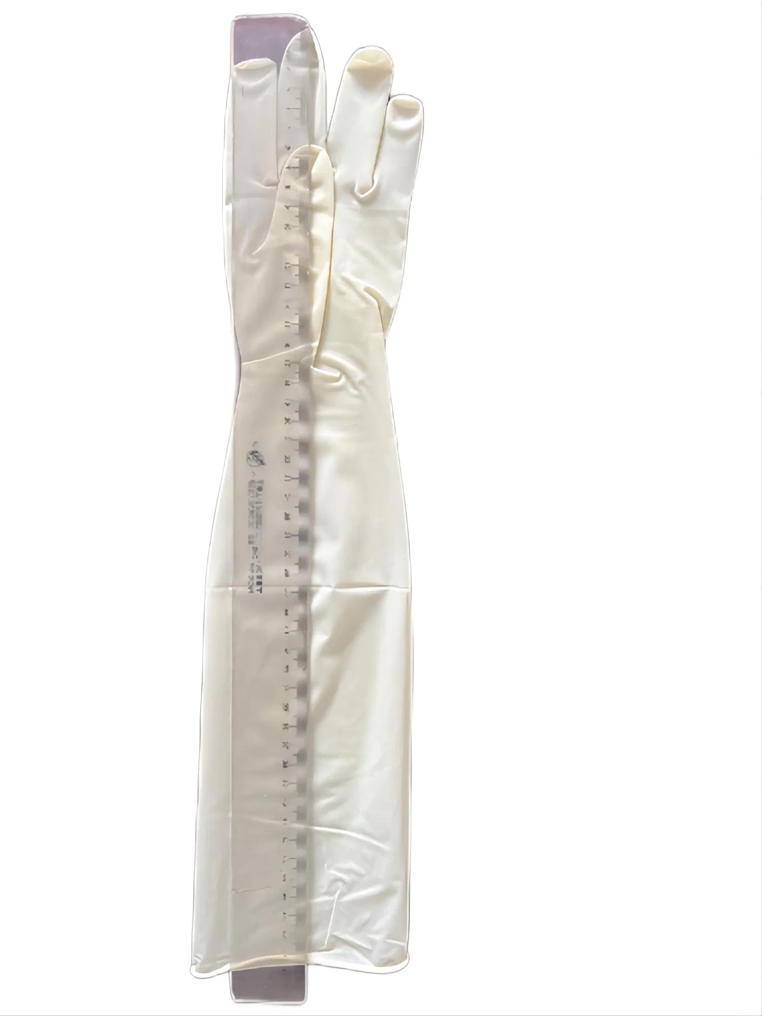 18 Inches (>400mm) Disposable Latex Gynecological / Obstetric Gloves /Elbow Length Powder or Powder Free