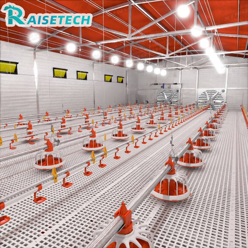 Raisetech Factory Base Price Automatic Poultry Farm Equipment Broiler Floor Feeding with Chicken Raise Equipment/Machinery