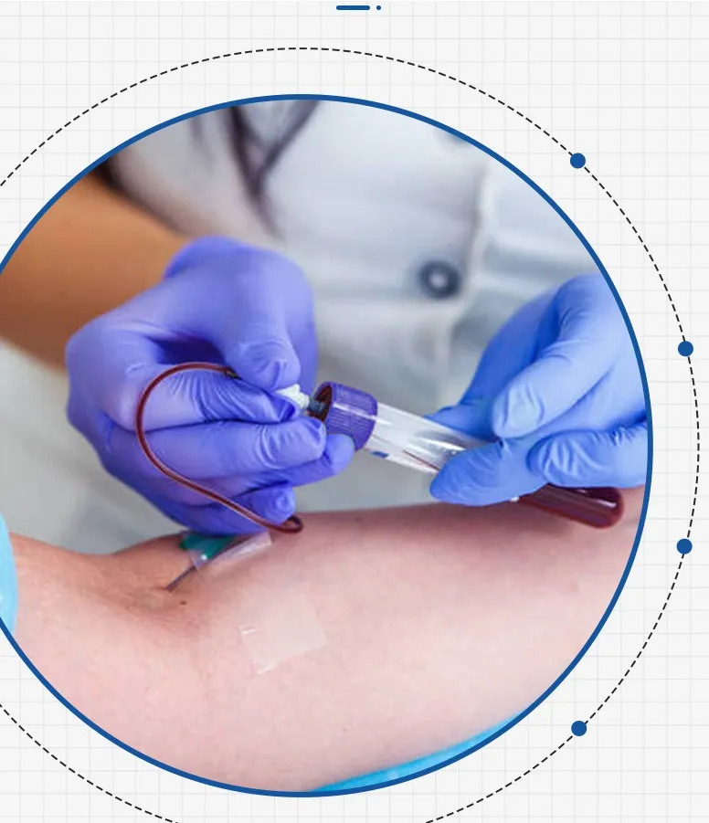 Instructional Usage Guide