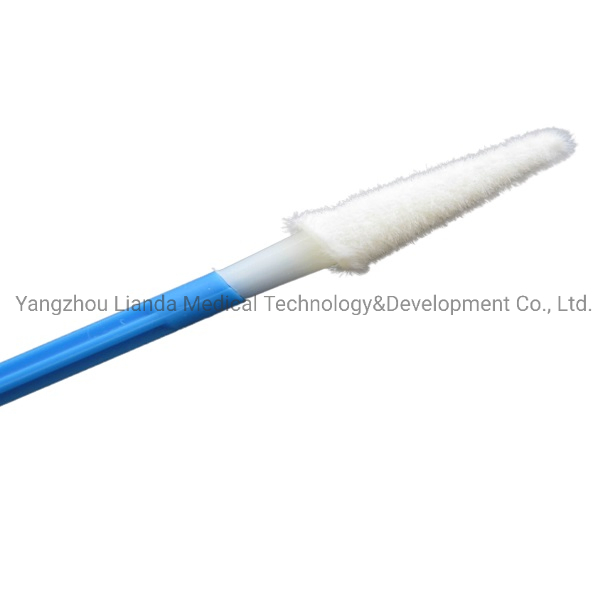 Medical Sampling Collection Cervical Cytology Gynecological Brush