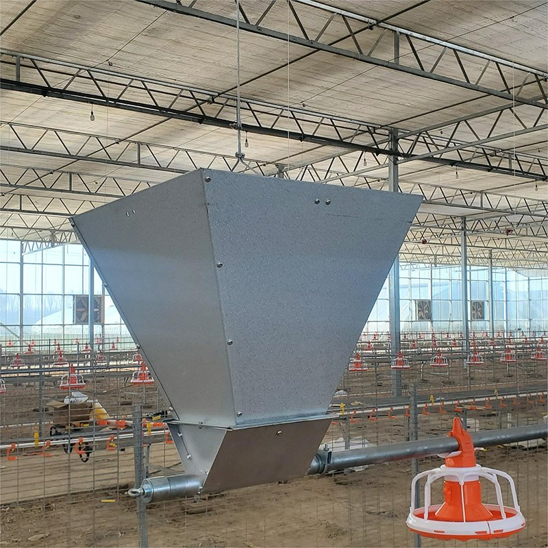 Advanced Large Scale Broiler Floor Breeding System Chicken Feeding for Optimal Growth