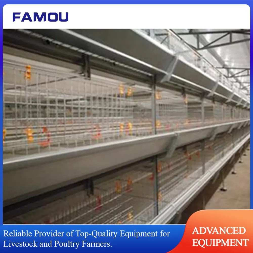 H Ladder Battery Cage with Automatic Bird Harvesting Trolley Feeding Broiler Cage in Poultry Farm