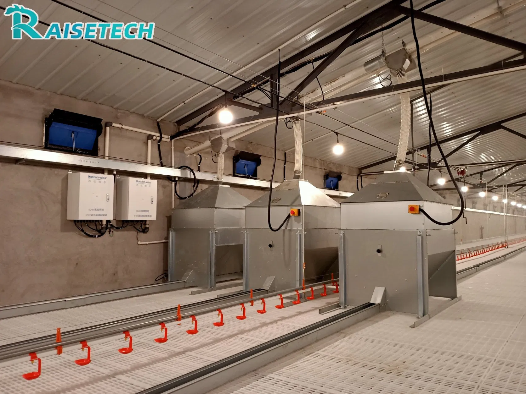 Automatic Chicken Chain Feeding Laying Box Poultry Equipment for Breeder Chicken