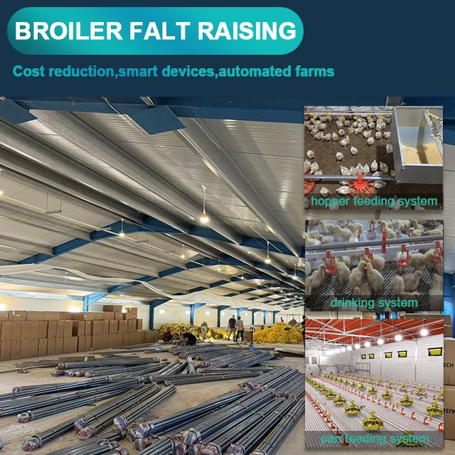 Raisetech Factory Base Price Automatic Poultry Farm Equipment Broiler Floor Feeding with Chicken Raise Equipment/Machinery