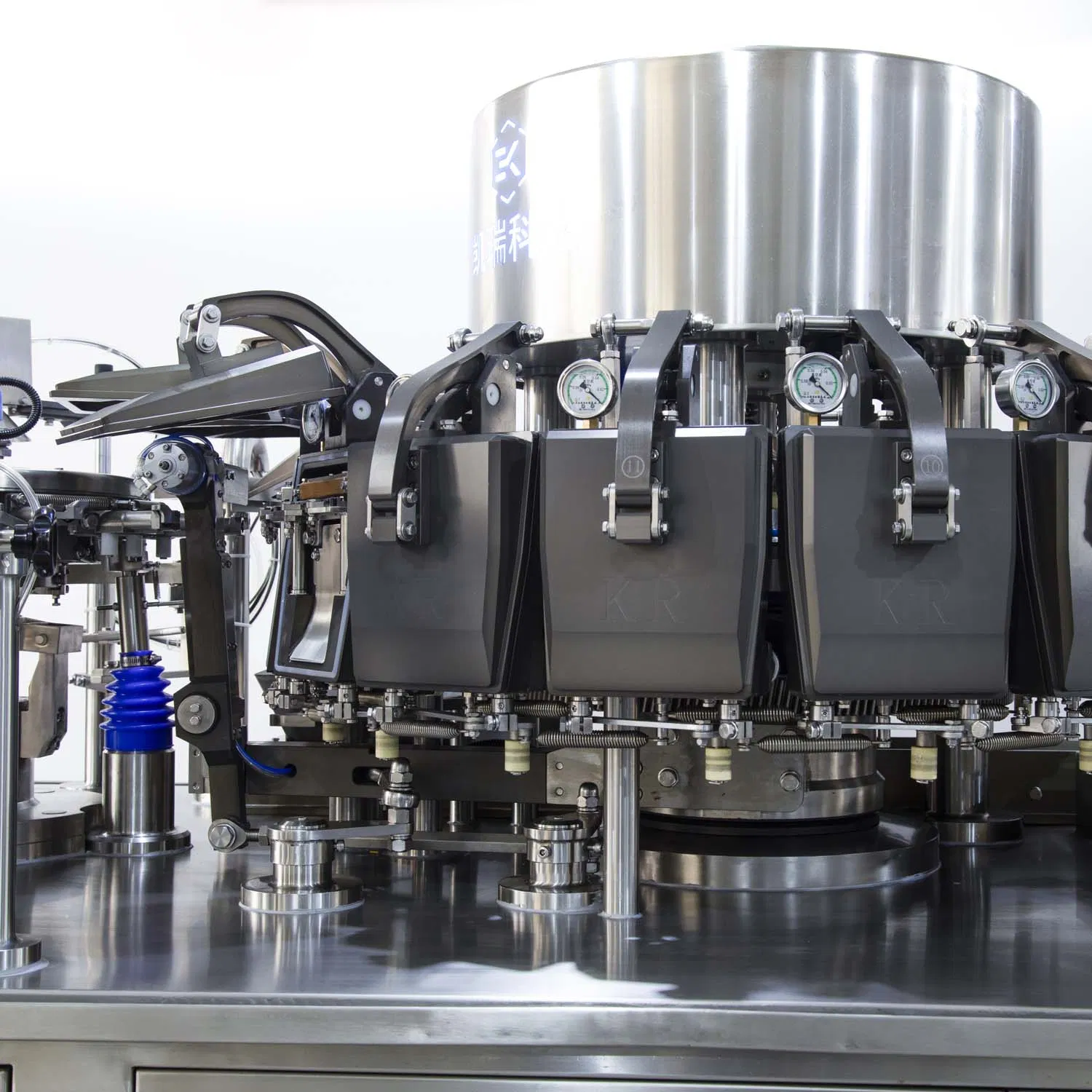 Bag-Feeding Rotary Vacuum Packaging Machine