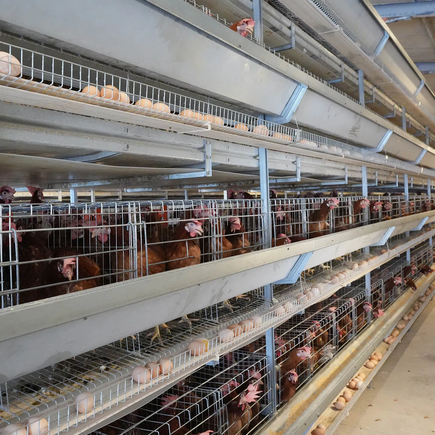 3-8 Layer Galvanized Steel Wire Poultry Equipment Layer Chicken Cage Feeding Equipment