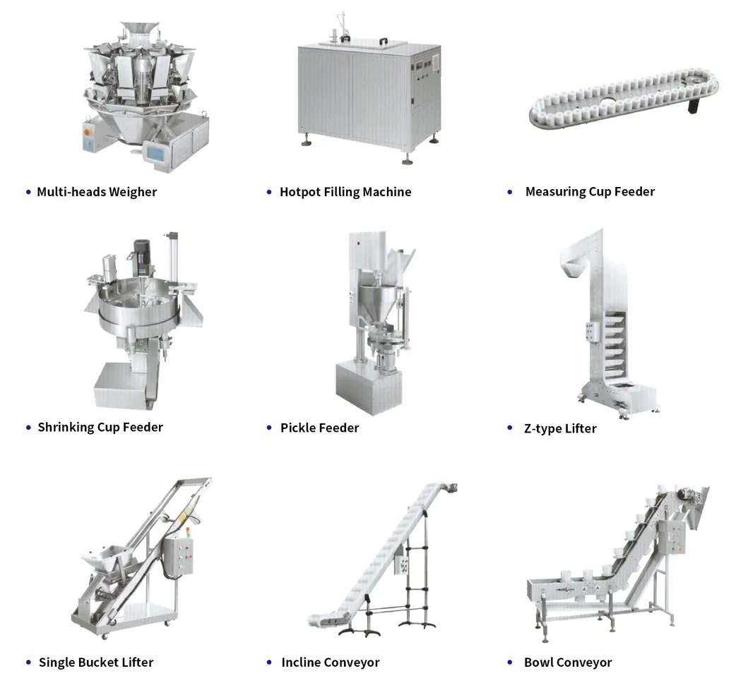 Bag-Feeding Rotary Vacuum Packaging Machine