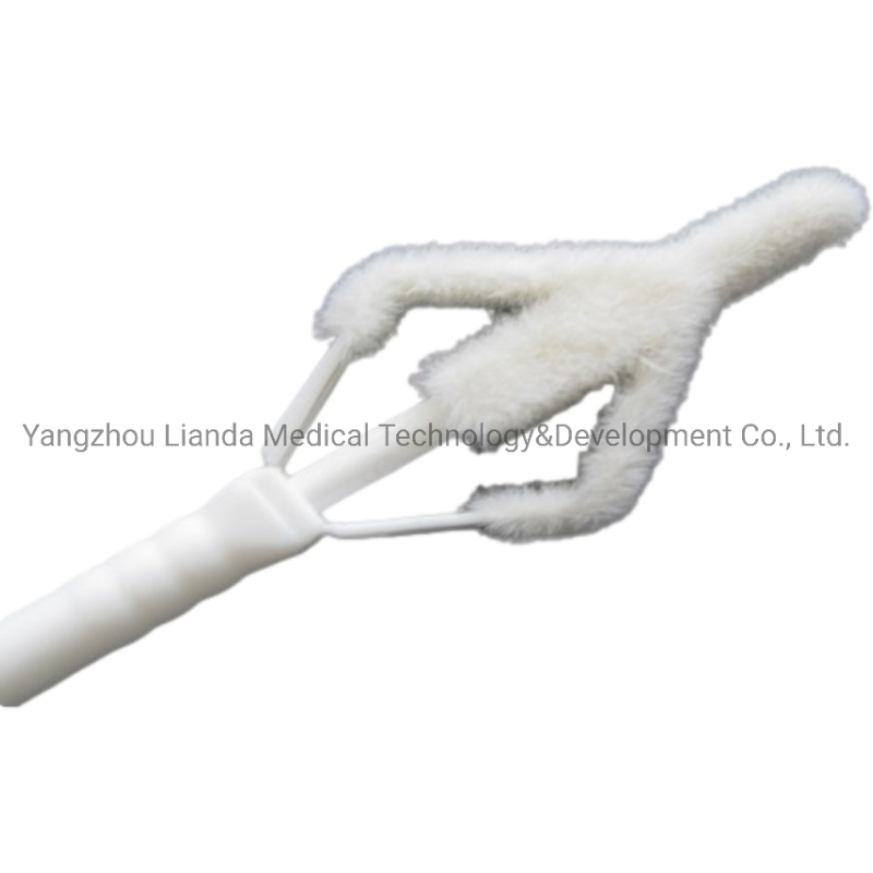 Medical Sampling Collection Cervical Cytology Gynecological Brush