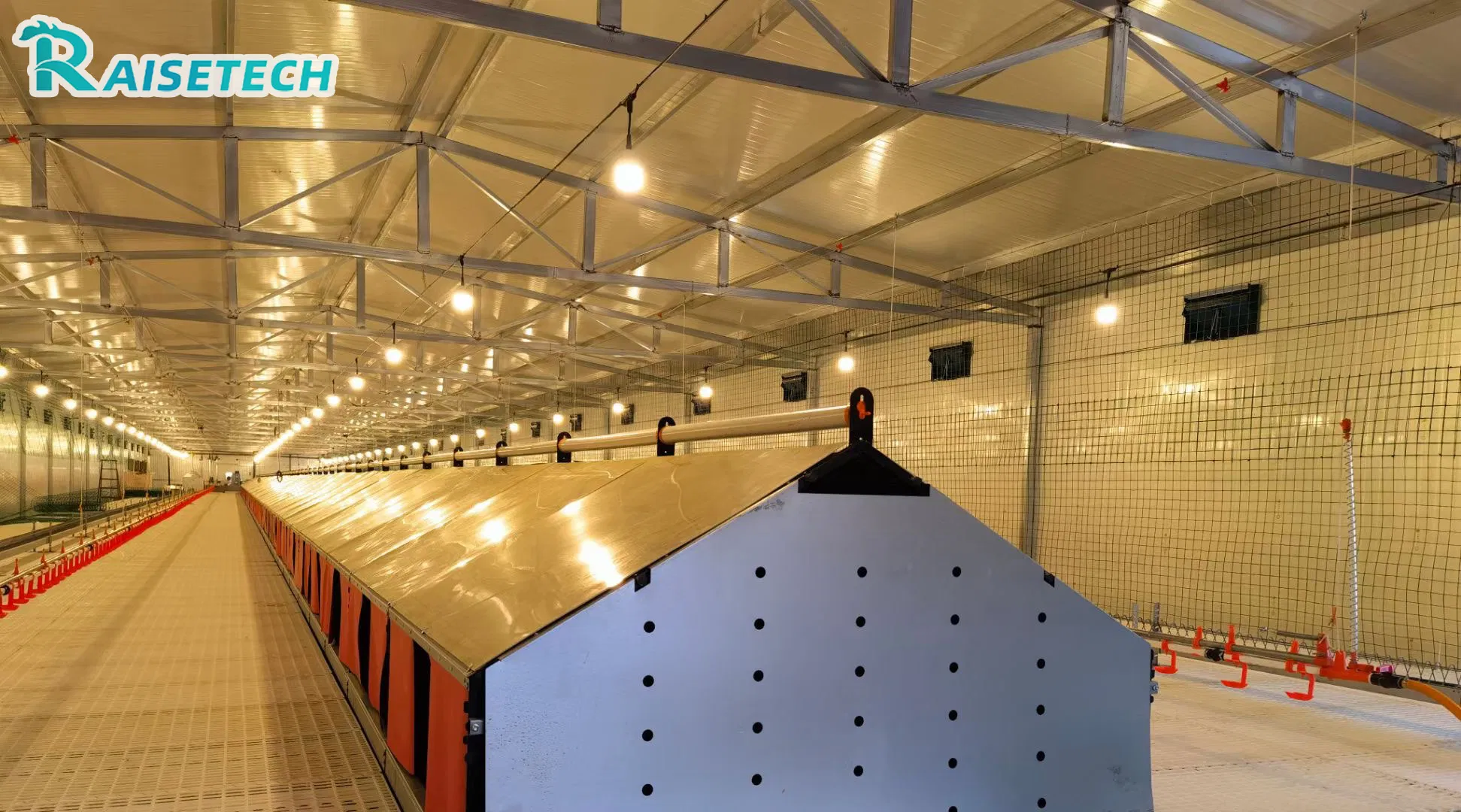 Automatic Chicken Chain Feeding Laying Box Poultry Equipment for Breeder Chicken