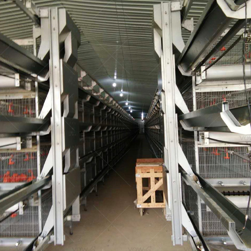 Premium H Frame Chicken Layer Cage with Automatic Feeding System