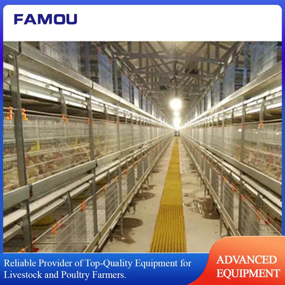 H Ladder Battery Cage with Automatic Bird Harvesting Trolley Feeding Broiler Cage in Poultry Farm