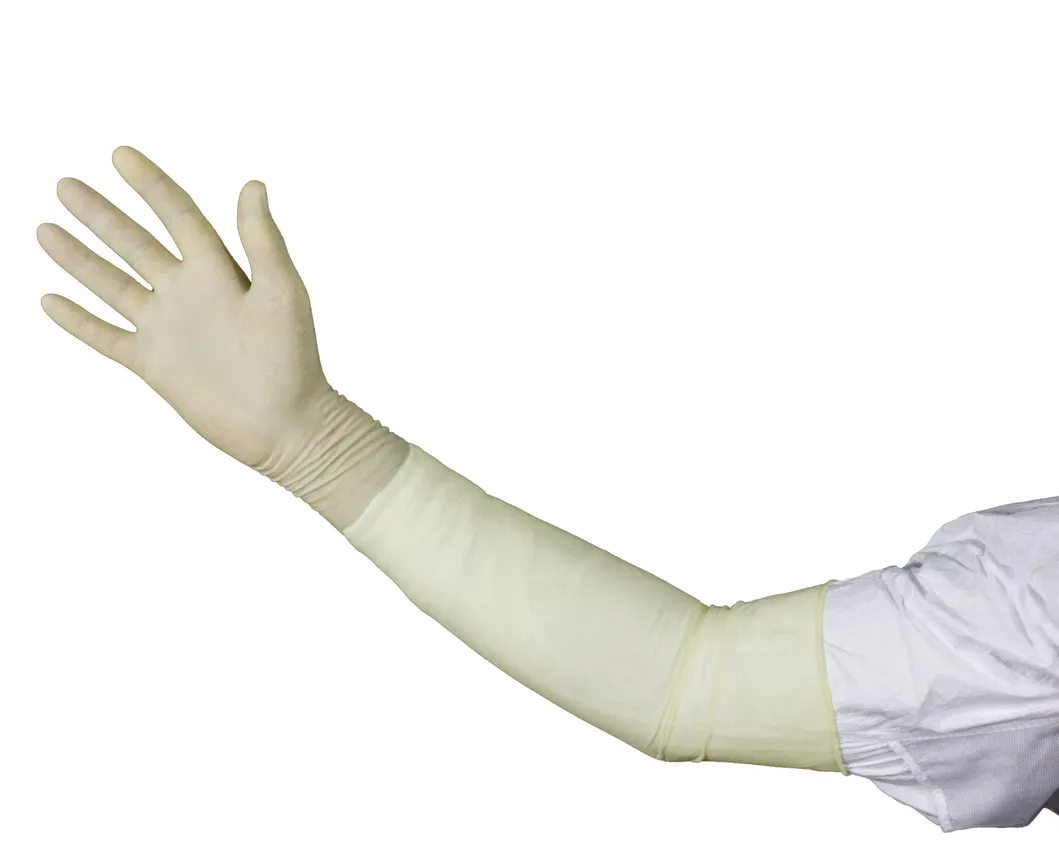Disposable Latex Obstetric Gloves