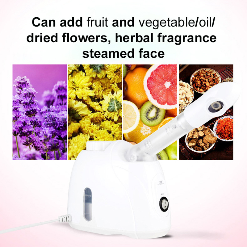 Best Sellers High Quality Hot Facial Steamers With Medicine Salon Use Portable Hot Facial Steamer Machine