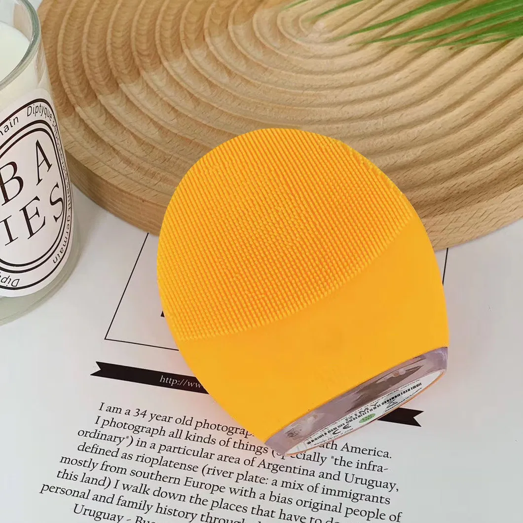 Electric Sonic Facial Cleansing Brush Usage Demo