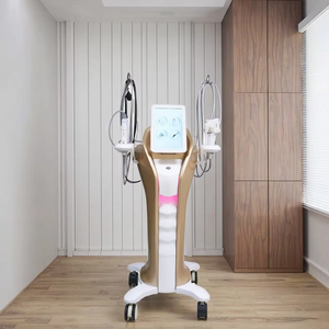 7D Hifu 20000 Shots Anti Wrinkle Face Lift Skin Tightening Body Slimming Hifu Salons Popular Mini Professional Hifu Machine