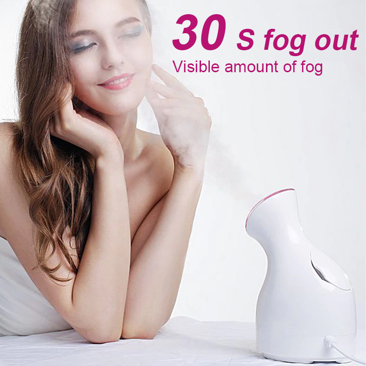 Ionic Facial Steamer Moisturizer Hydrating Nano Mist Sprayer Spray Mini Professional Spa Cleaner Face Steamer Facial Steamer
