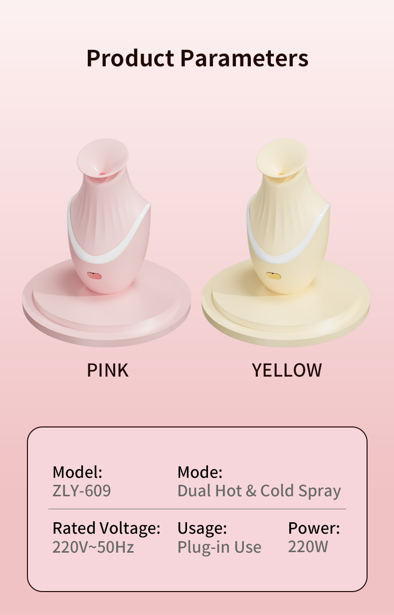 Facial steamer