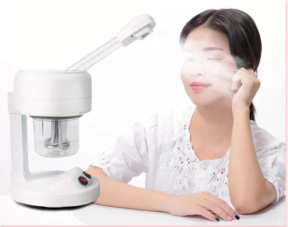 Facial Steamer