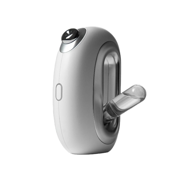 Home Use Electric Facial Steamer Sprayer Ionic Ozone System Nano Technology Beauty Machine