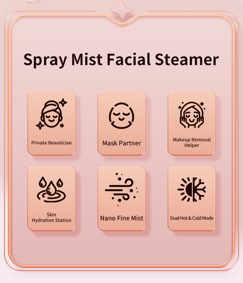 Facial steamer