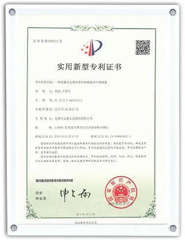Wuxi BS Water Treatment industry award certificate