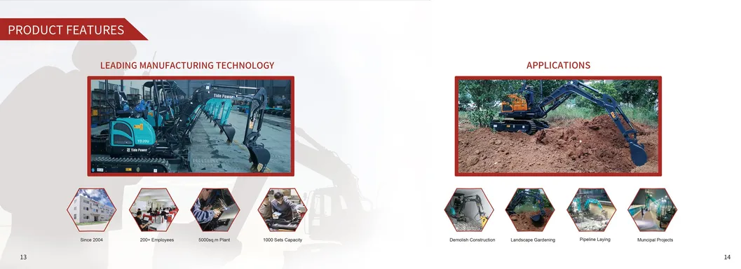 Small Excavator Operation