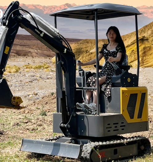 Small Excavator, Multi-Functional Engineering Micro-Excavator, Electric Small Hook