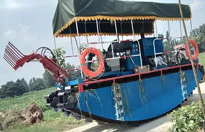 Aesthetically Pleasing