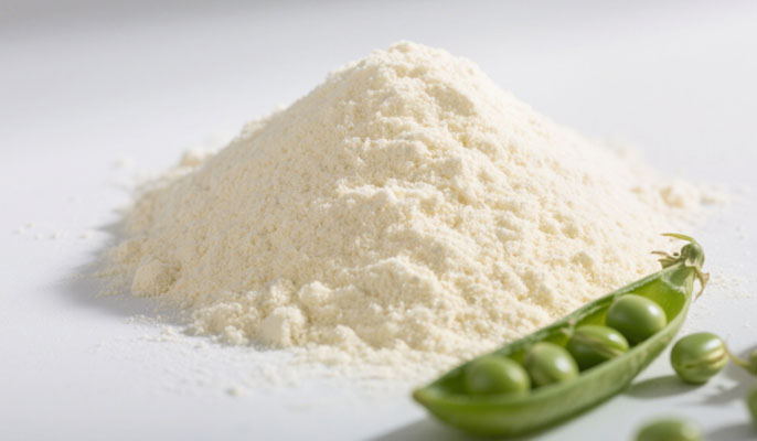 pea fiber powder 2
