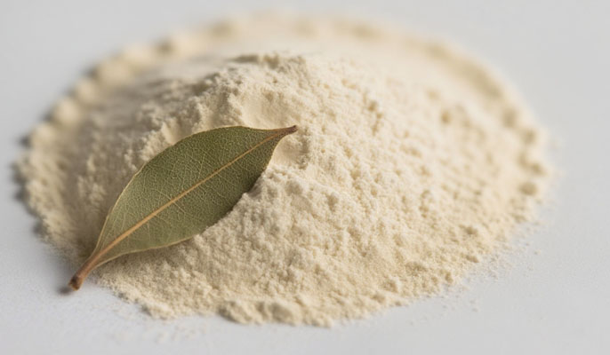 Astragalus leaf powder