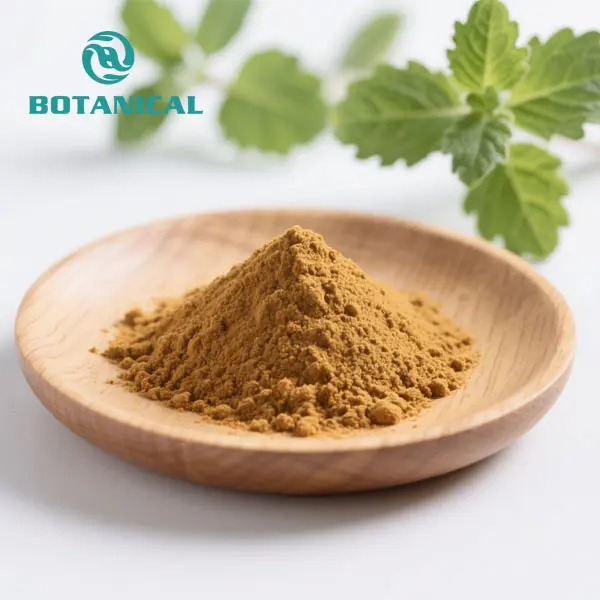 High-Quality Holy basil leaf extract powder Suppliers, Manufacturers