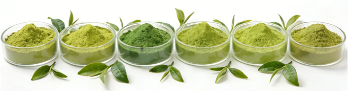 organic matcha tea powder different grade 1