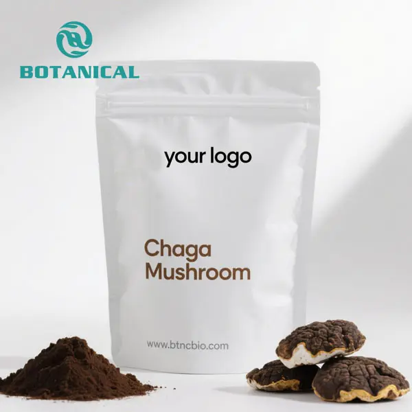 Wholesale Chaga mushroom extract powder Supplier, Factory