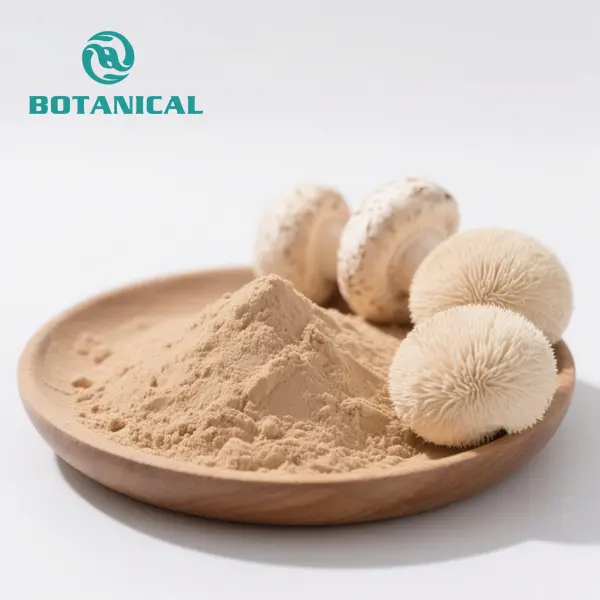 OEM Organic Lion's Mane Mushroom Extract Powder Manufacturers, Factory