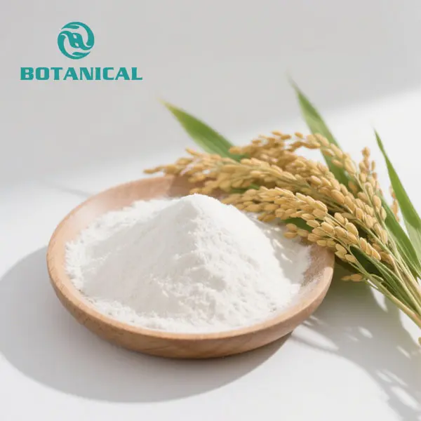 High-Quality Hydrolyzed Rice Bran Extract Powder Factories, Factory
