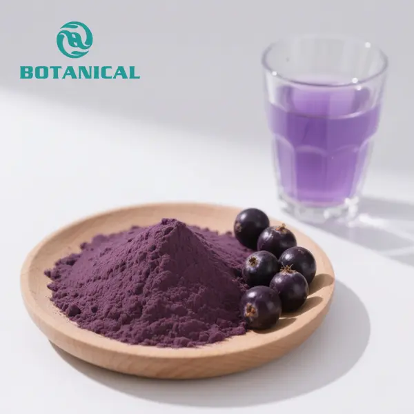 High-Quality Organic Acai Berry Fruit Euterpe Oleracea Extract Powder Manufacturer, Factory