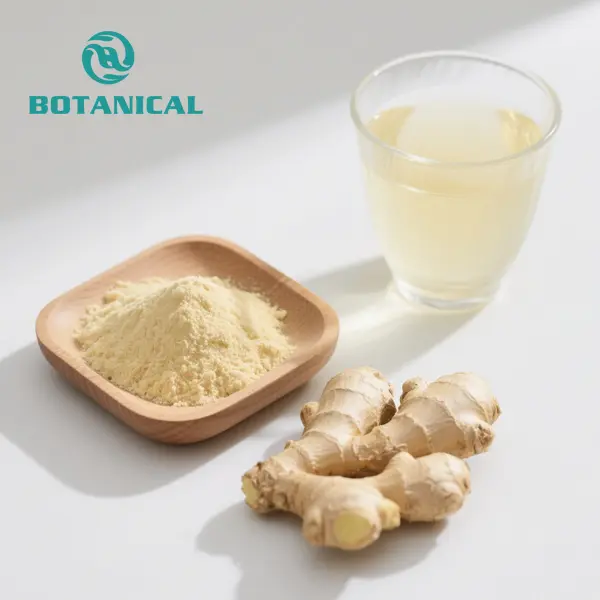 Wholesale Ginger Extract Powder (Gingerol 5-10%) for Immune Support & Anti-Inflammatory Effects Suppliers, Manufacturers