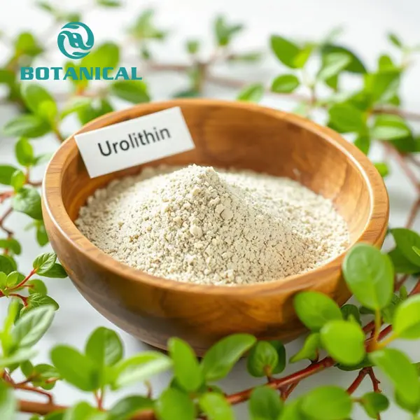 OEM Urolithin A Powder Suppliers, Manufacturers