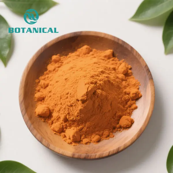 Wholesale Water-Soluble Coenzyme Q10 Powder – High Absorption Ubiquinone for Energy & Skin Health Suppliers, Factory