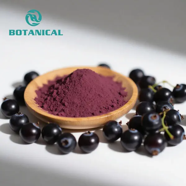 ODM Black Currant Extract Supplier, Manufacturer