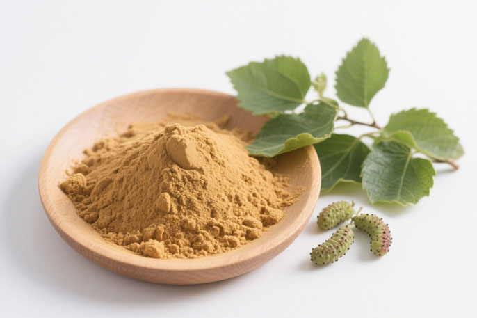 Natural Mulberry Leaf DNJ Powder