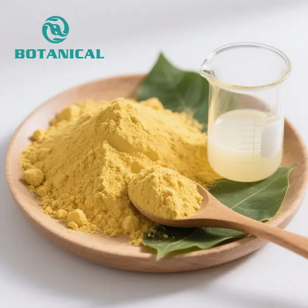 Wholesale Water-Soluble Coenzyme Q10 Powder – High Absorption Ubiquinone for Energy & Skin Health Suppliers, Factory