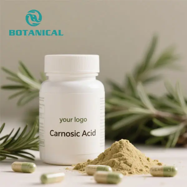 ODM Rosmarinus Officinalis Carnosic Acid Powder Suppliers, Manufacturers