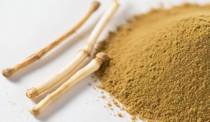 Houttuynia Cordata Powder